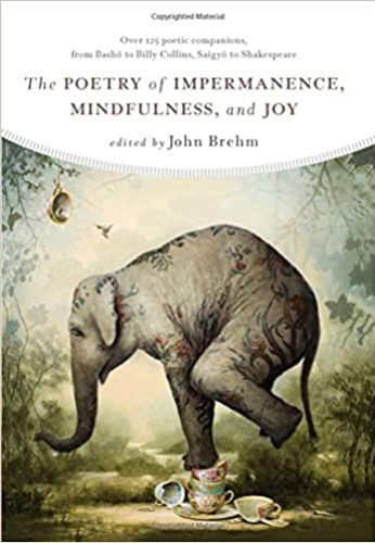 The poetry of impermanence, mindfulness, and joy by John Brehm
